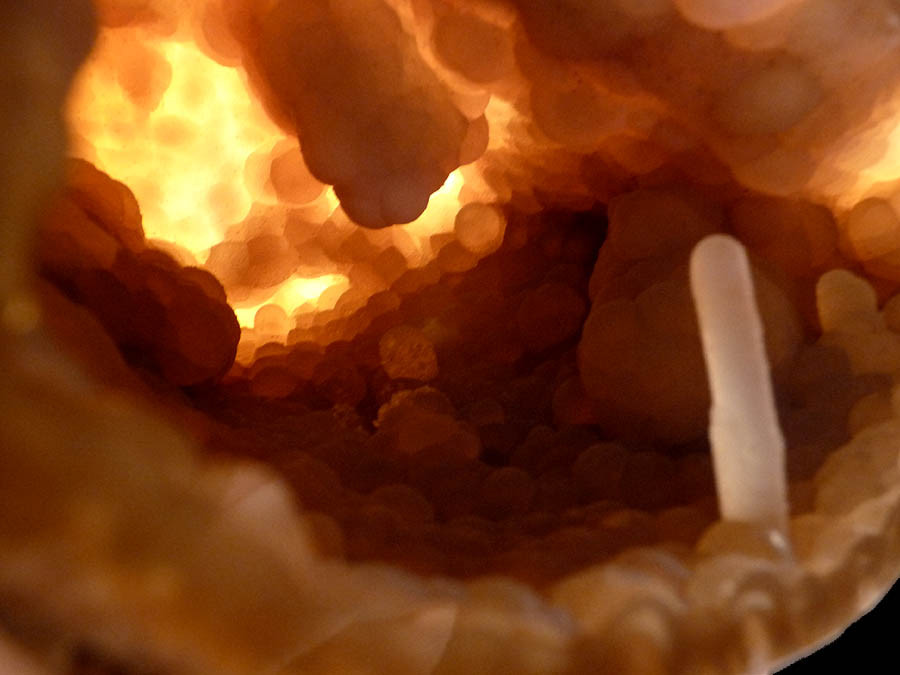 FOSSIL AGATIZED CORAL COLONY GEODE WITH RARE CRYSTAL STRUCTURES LINING CAVITY  *COR101