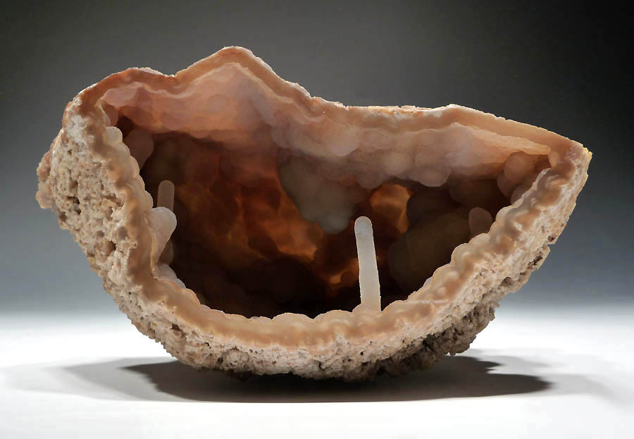 FOSSIL AGATIZED CORAL COLONY GEODE WITH RARE CRYSTAL STRUCTURES LINING CAVITY  *COR101