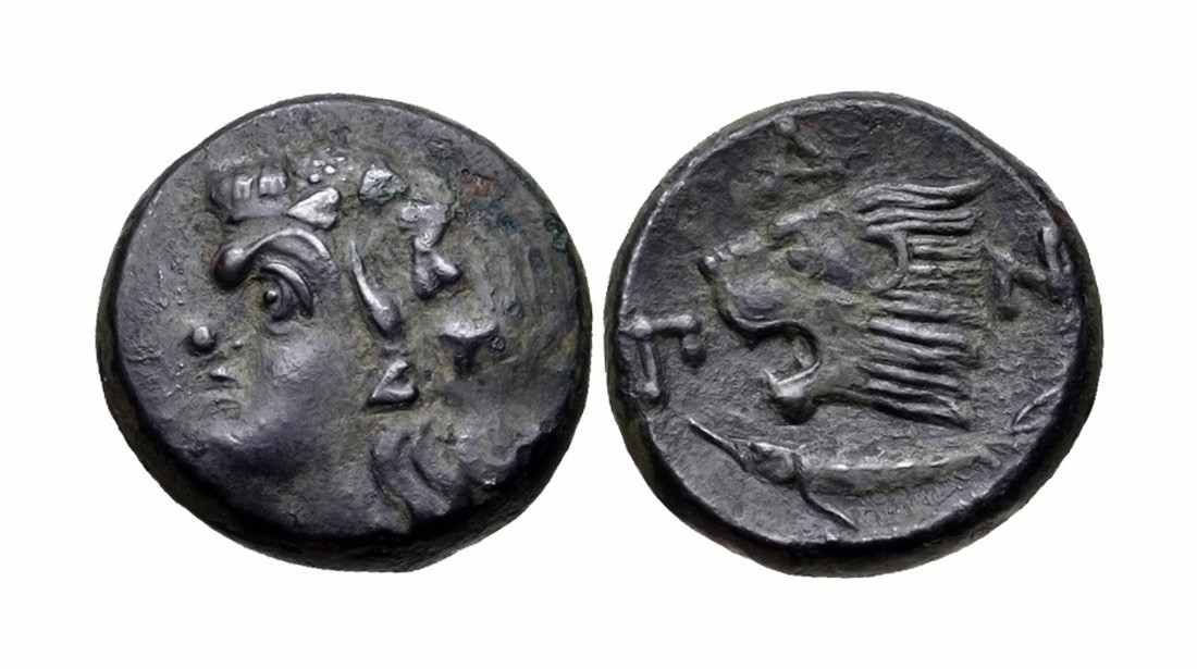 ANCIENT HELLENISTIC GREEK CIMMERIAN BRONZE COIN WITH HEAD OF SATYR AND LION FROM THE BOSPORUS  *AC205