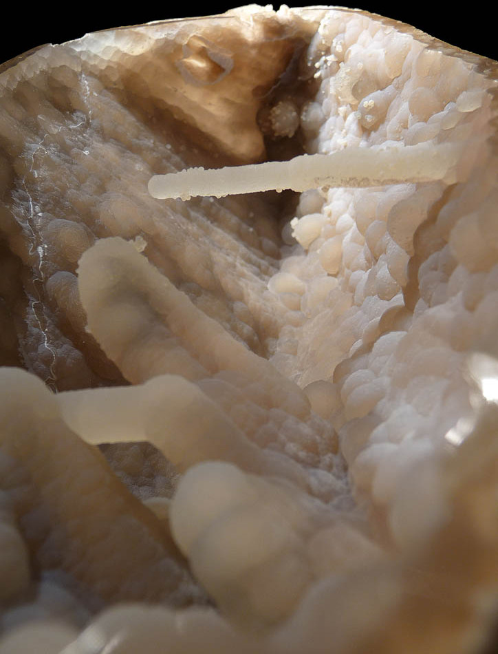 RARE WHITE FOSSIL AGATIZED CORAL GEODE "CAVE" WITH RARE CRYSTAL STRUCTURES  *COR102