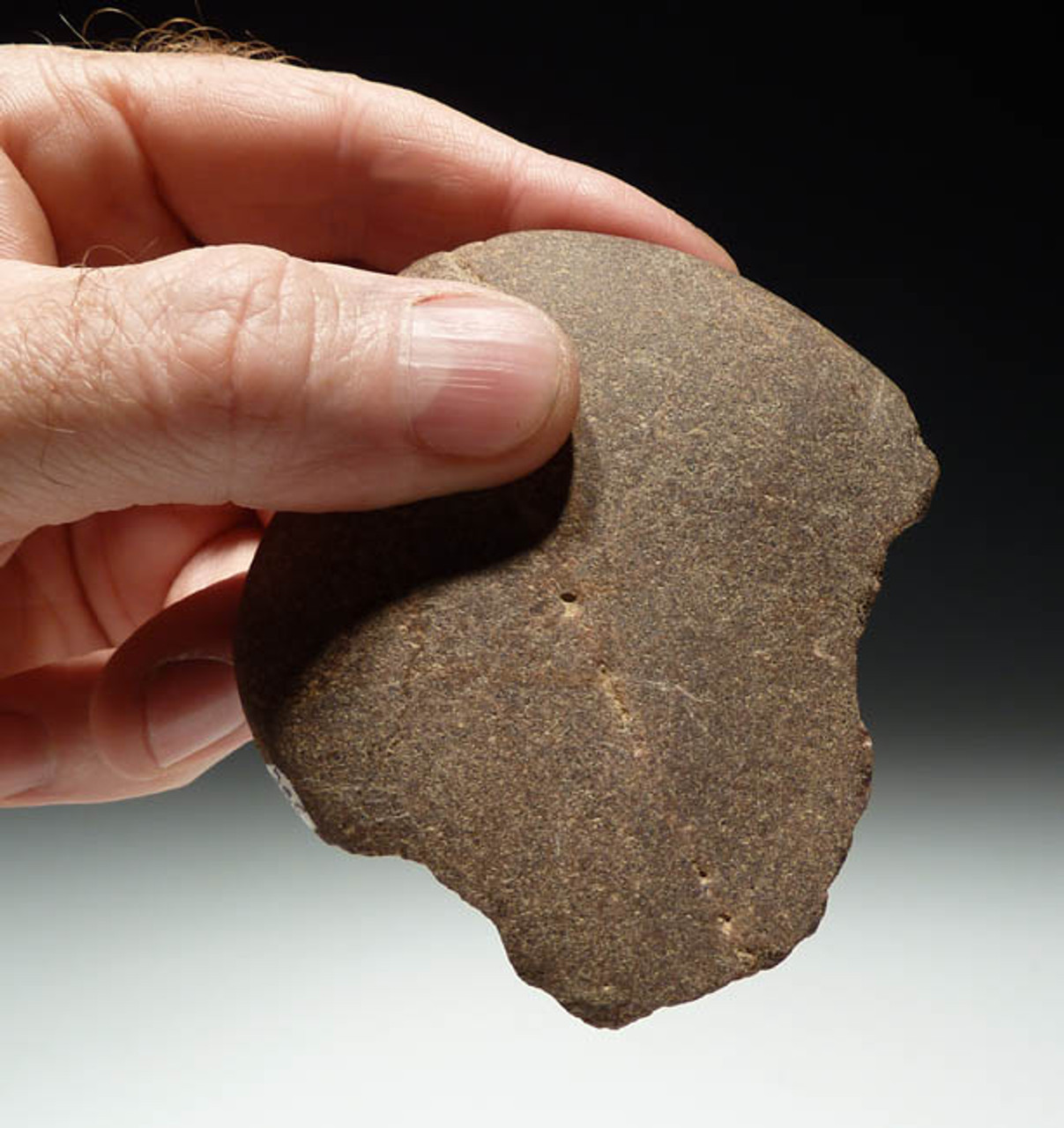 Paleolithic Stone Tool 3.87 Chopper