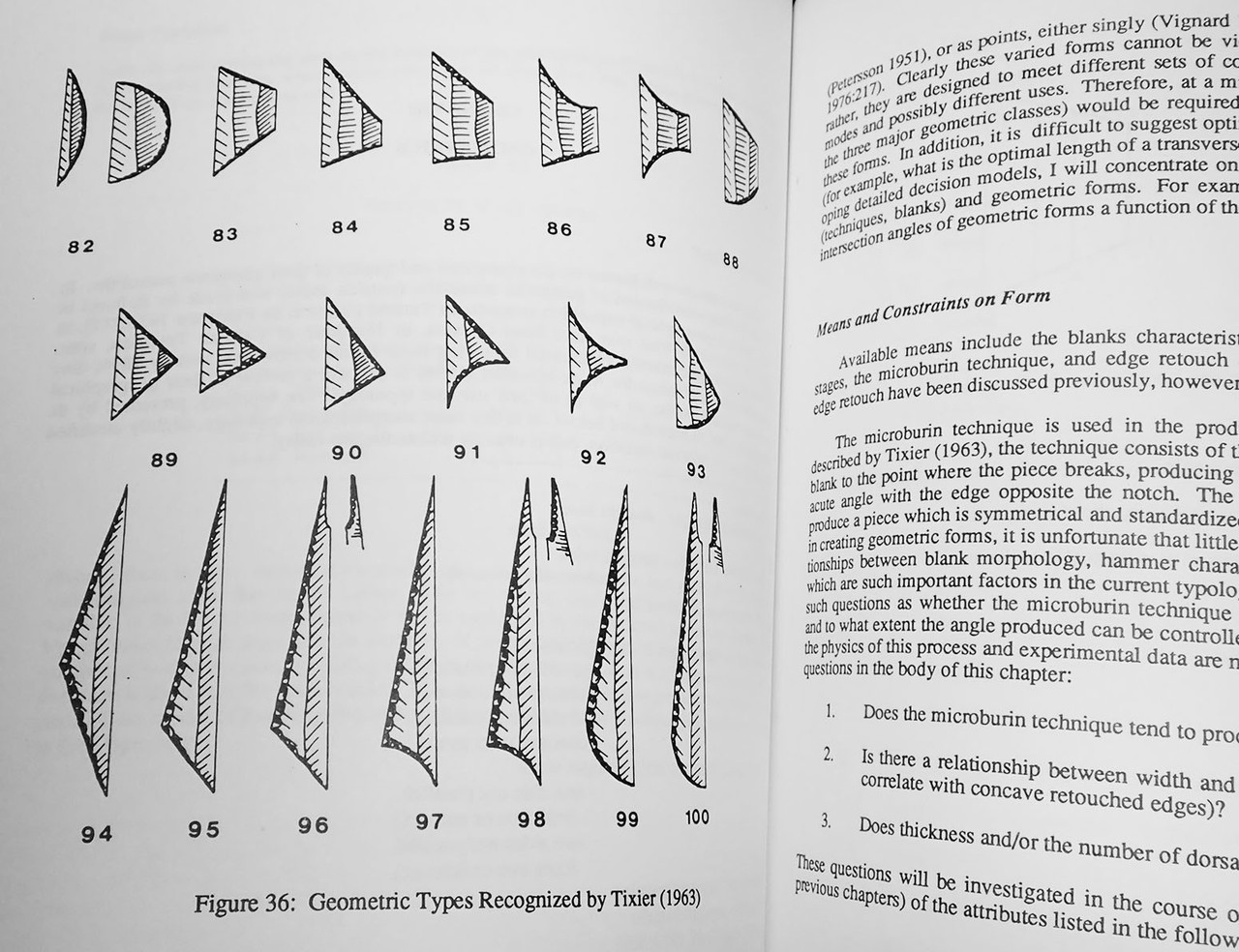 THE CAPSIAN OF NORTH AFRICA - STYLISTIC VARIATIONS IN STONE TOOL ASSEMBLAGES BOOK  *BK58