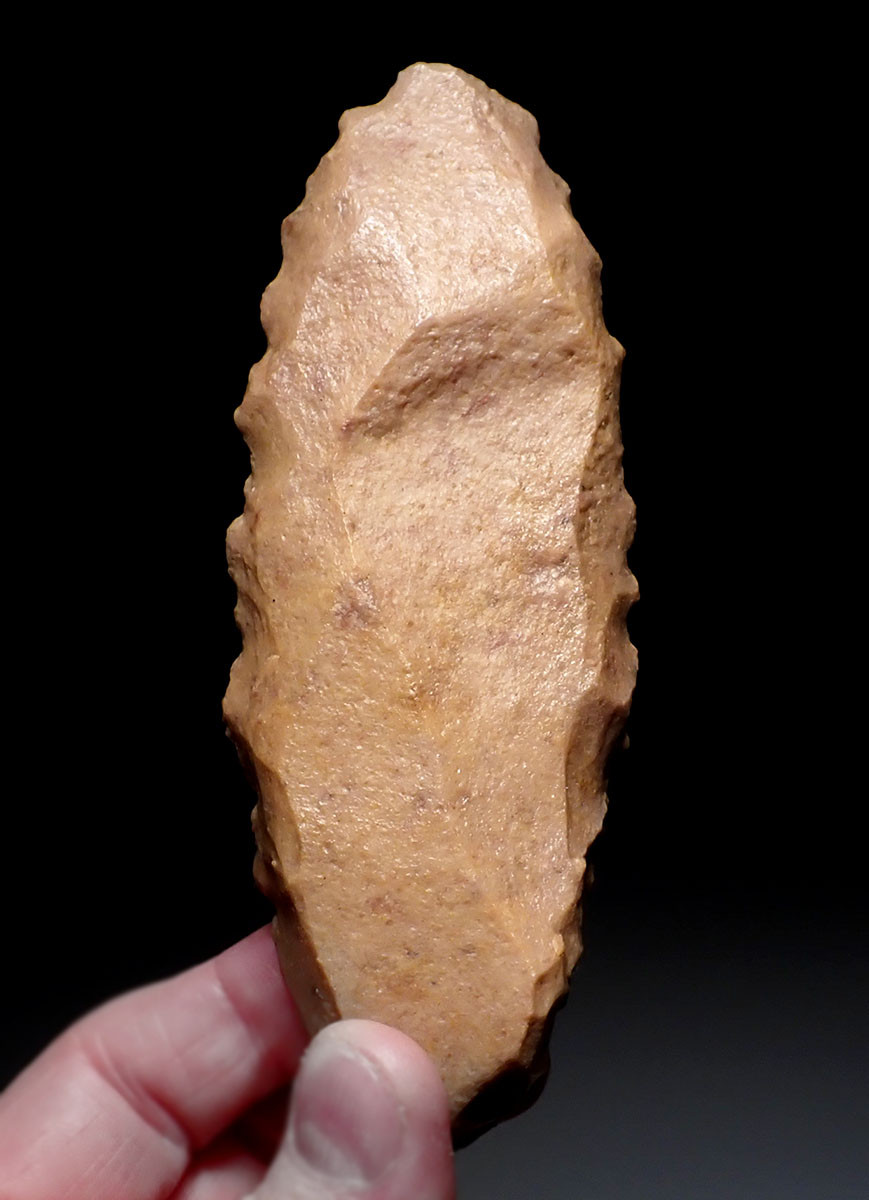 RARE SUPERB LARGE TENERIAN NEOLITHIC DENTICULATE SAW BLADE FLAKE STONE TOOL FROM THE SAHARAN TENERE DESERT  *CAP449