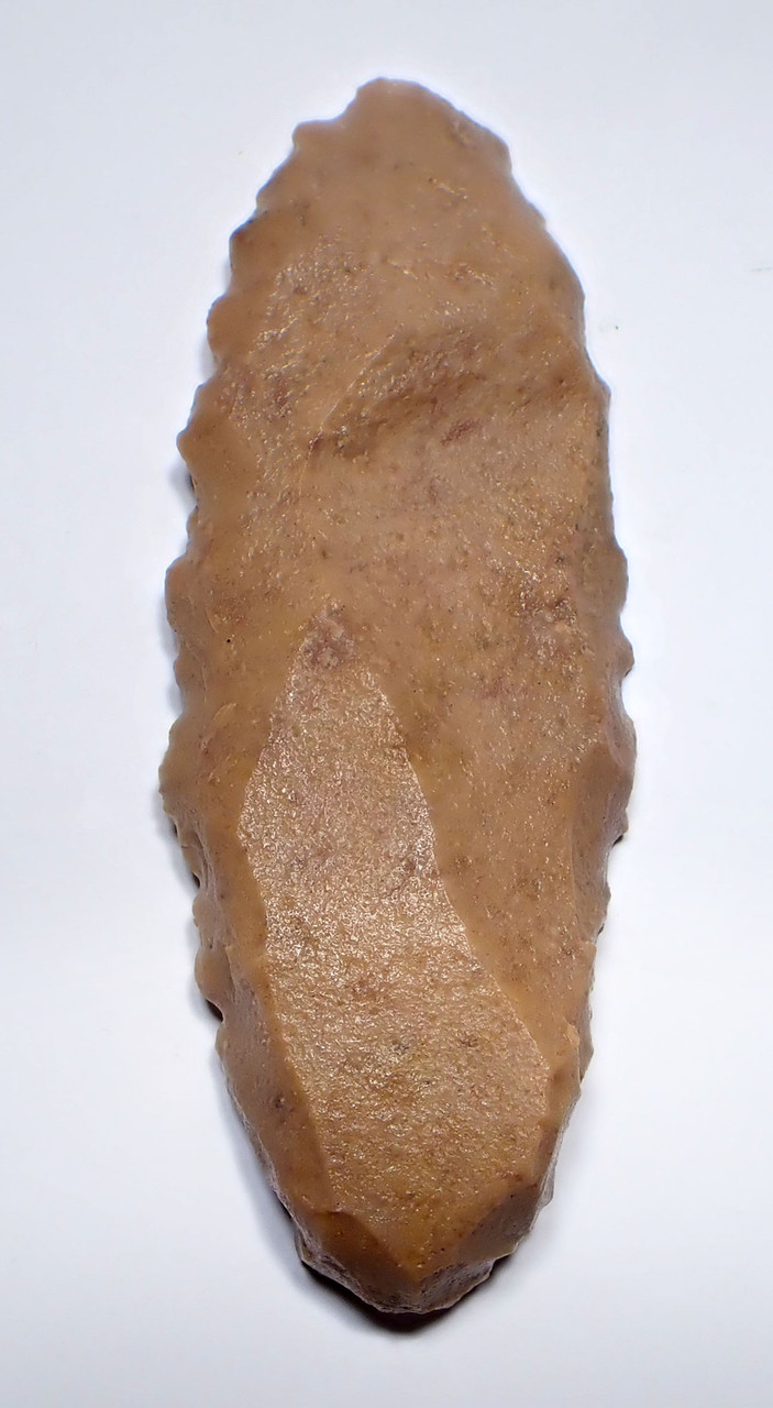 RARE SUPERB LARGE TENERIAN NEOLITHIC DENTICULATE SAW BLADE FLAKE STONE TOOL FROM THE SAHARAN TENERE DESERT  *CAP449