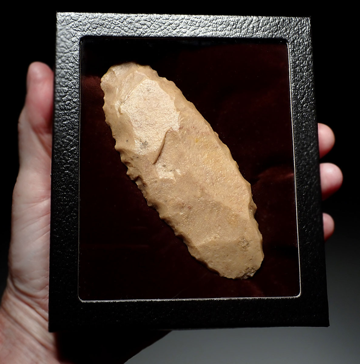 RARE SUPERB LARGE TENERIAN NEOLITHIC DENTICULATE SAW BLADE FLAKE STONE TOOL FROM THE SAHARAN TENERE DESERT  *CAP447