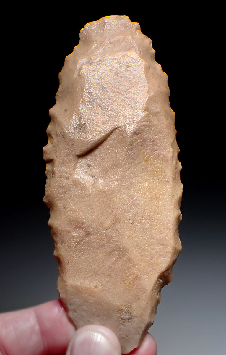 RARE SUPERB LARGE TENERIAN NEOLITHIC DENTICULATE SAW BLADE FLAKE STONE TOOL FROM THE SAHARAN TENERE DESERT  *CAP447