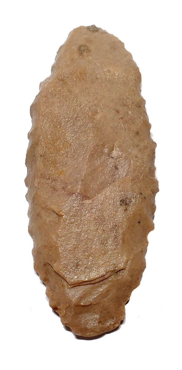RARE SUPERB LARGE TENERIAN NEOLITHIC DENTICULATE SAW BLADE FLAKE STONE TOOL FROM THE SAHARAN TENERE DESERT  *CAP447