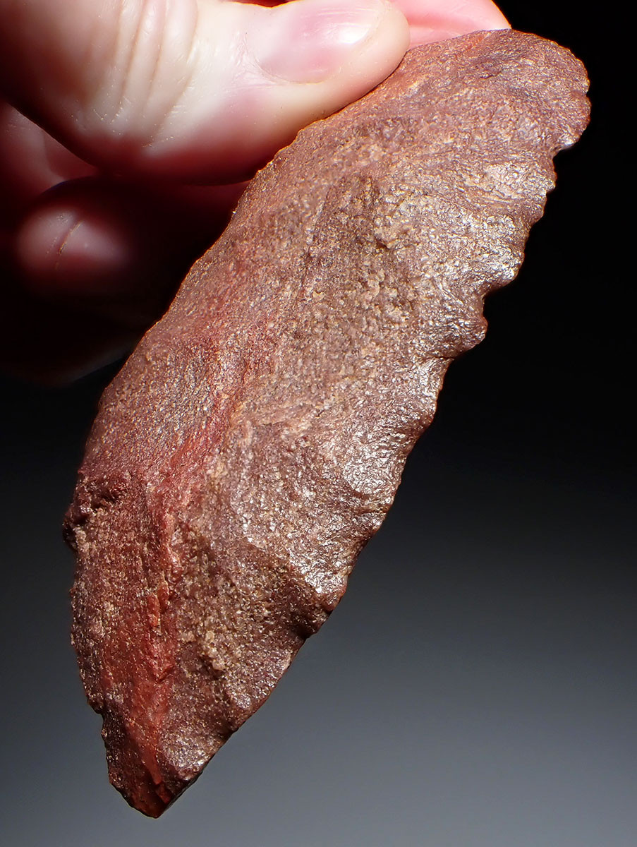 RARE SUPERB RED TENERIAN NEOLITHIC DENTICULATE SAW BLADE FLAKE STONE TOOL FROM THE SAHARAN TENERE DESERT  *CAP451