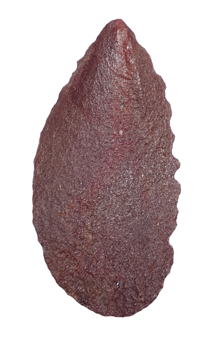 RARE SUPERB RED TENERIAN NEOLITHIC DENTICULATE SAW BLADE FLAKE STONE TOOL FROM THE SAHARAN TENERE DESERT  *CAP451