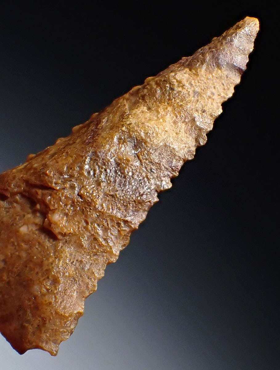 RARE TENERIAN NEOLITHIC GOLDEN QUARTZITE SERRATED DELTA ARROWHEAD FROM THE SAHARAN TENERE DESERT  *CAP448