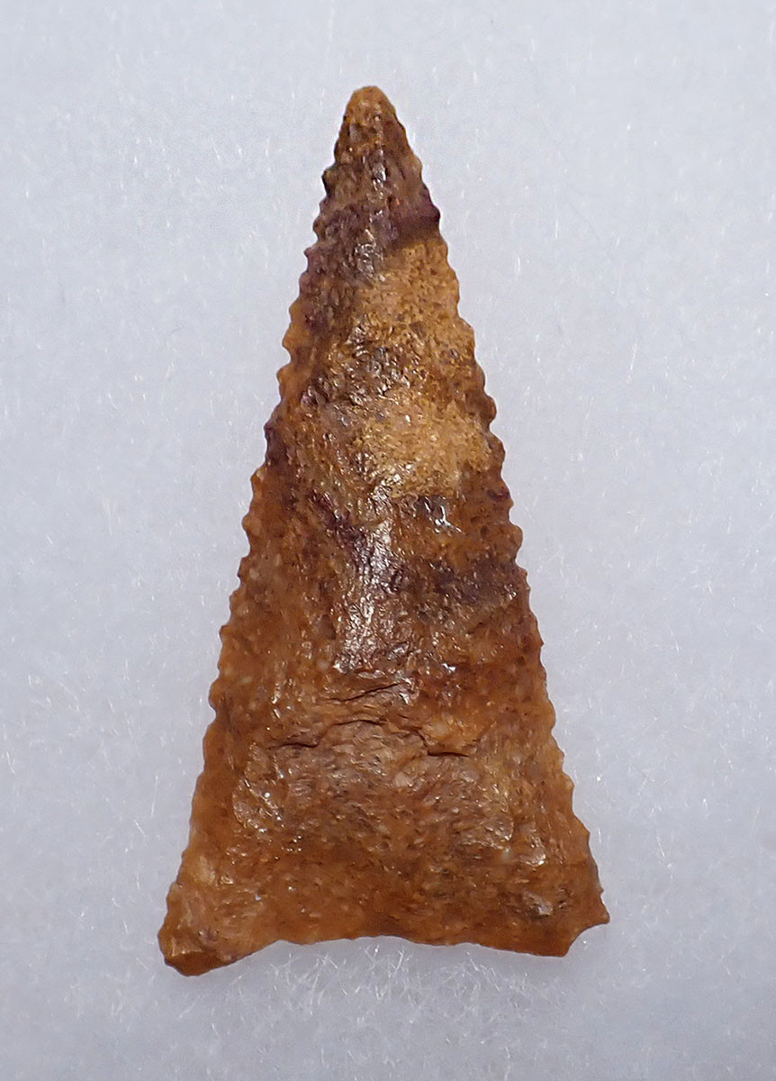 RARE TENERIAN NEOLITHIC GOLDEN QUARTZITE SERRATED DELTA ARROWHEAD FROM THE SAHARAN TENERE DESERT  *CAP448