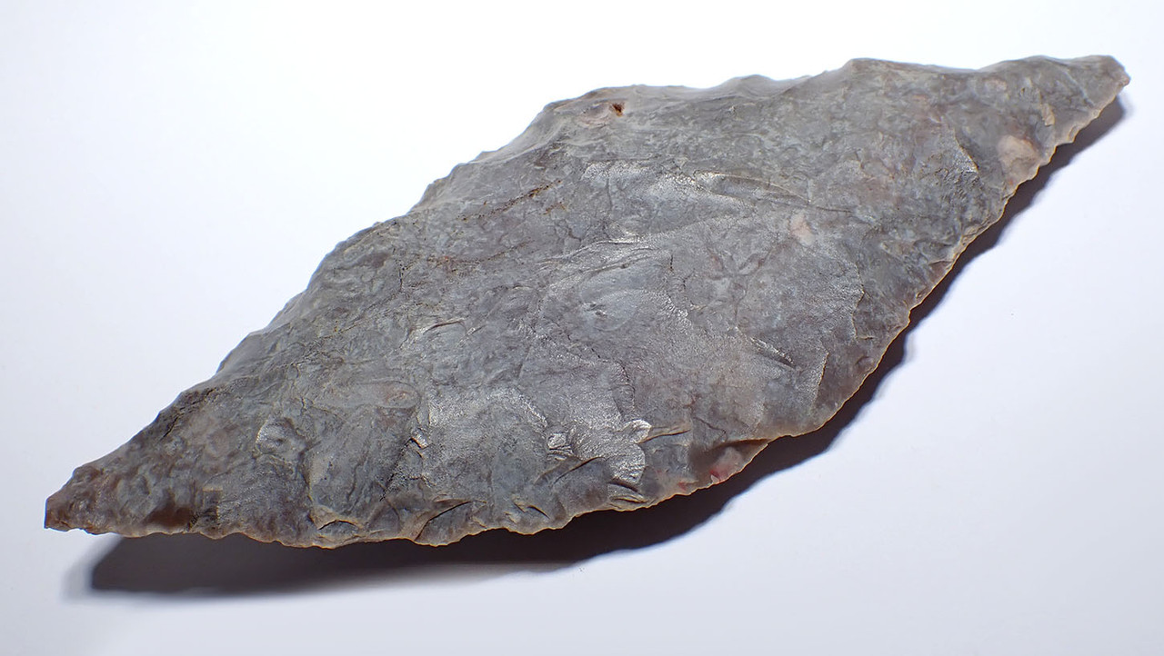 UNUSUAL LARGE PRESTIGE CAPSIAN NEOLITHIC FLAKED PLUM FLINT LEAF BLADE FROM THE SAHARA  *CAP457