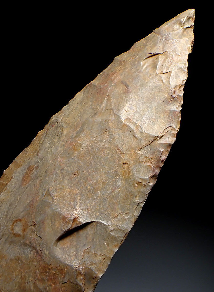 LARGEST OF OUR 25 YEAR COLLECTION - OVER 5000 YEAR OLD RARE PRESTIGE CAPSIAN NEOLITHIC BIFACIAL FLINT LEAF BLADE KNIFE FROM THE SAHARA  *CAP456