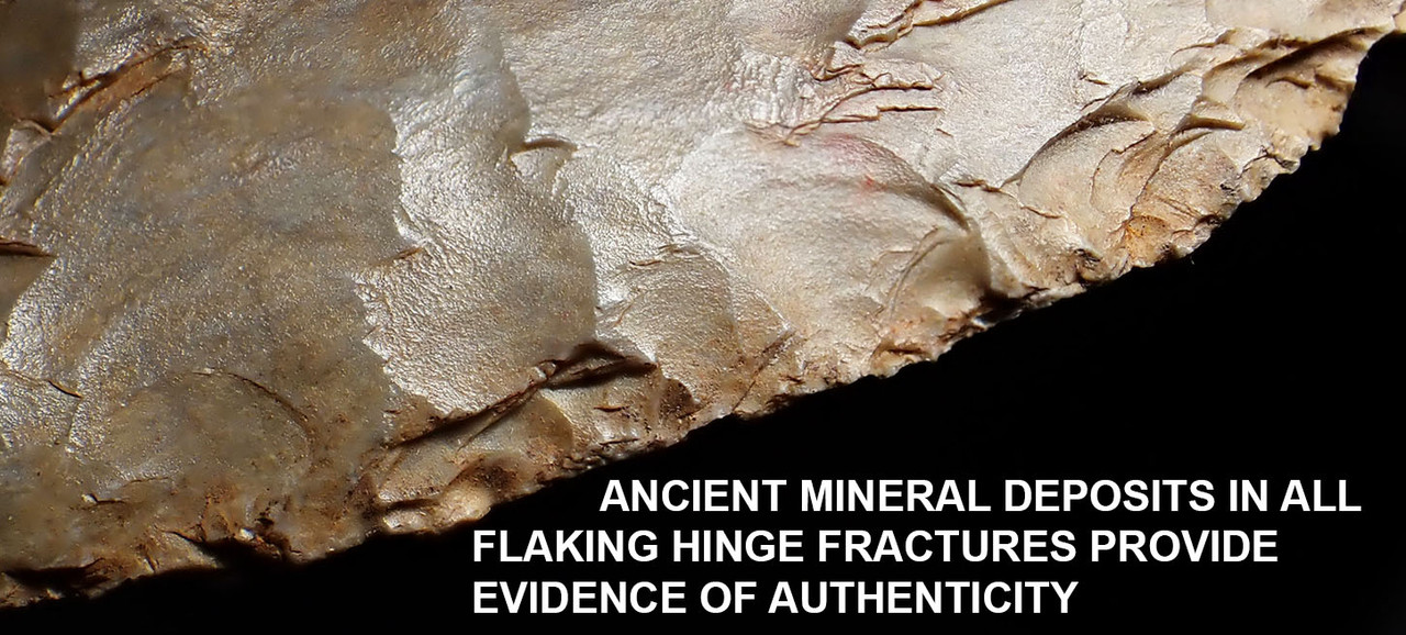 LARGEST OF OUR 25 YEAR COLLECTION - OVER 5000 YEAR OLD RARE PRESTIGE CAPSIAN NEOLITHIC BIFACIAL FLINT LEAF BLADE KNIFE FROM THE SAHARA  *CAP456