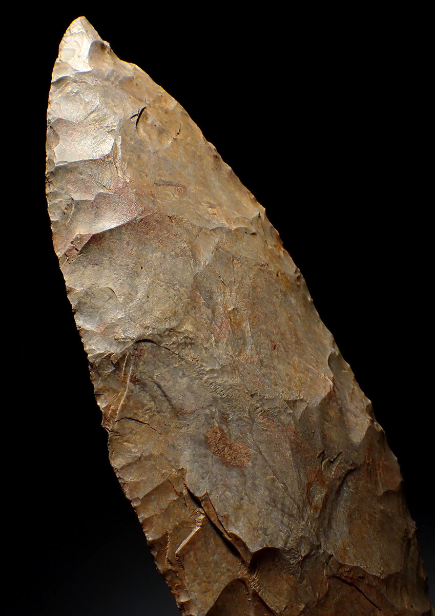 LARGEST OF OUR 25 YEAR COLLECTION - OVER 5000 YEAR OLD RARE PRESTIGE CAPSIAN NEOLITHIC BIFACIAL FLINT LEAF BLADE KNIFE FROM THE SAHARA  *CAP456