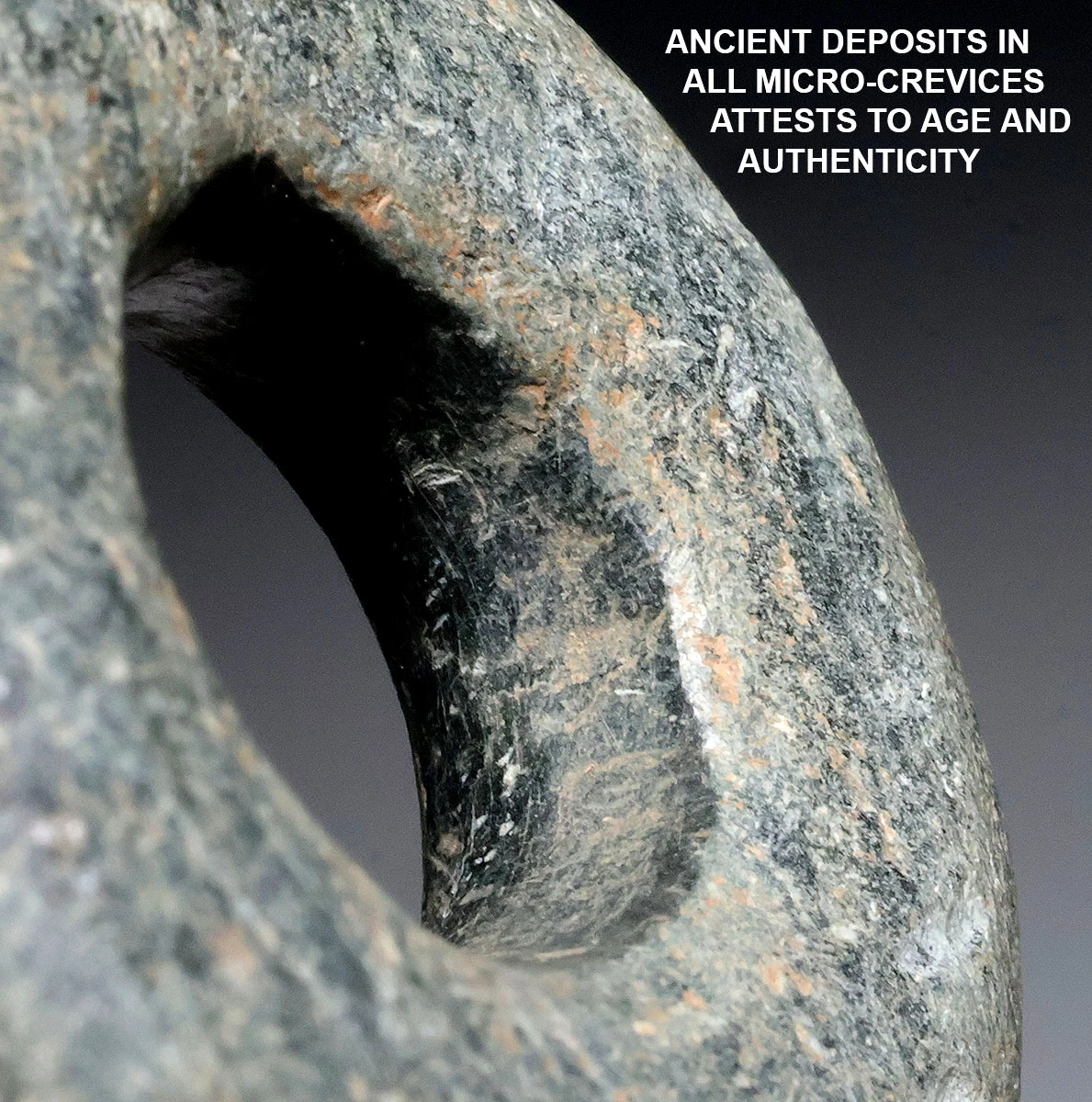 UNBROKEN STONE DOUGHNUT RING TALISMAN PENDANT FROM THE NEOLITHIC OF CAPSIAN TRADITION OF NW AFRICA  *CAP463