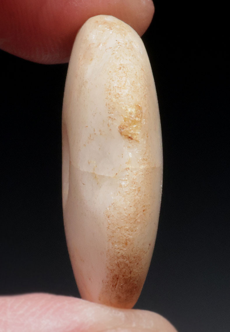 QUARTZ STONE DRILLED DISK TALISMAN BEAD PENDANT FROM THE NEOLITHIC OF CAPSIAN TRADITION OF NW AFRICA  *CAP462