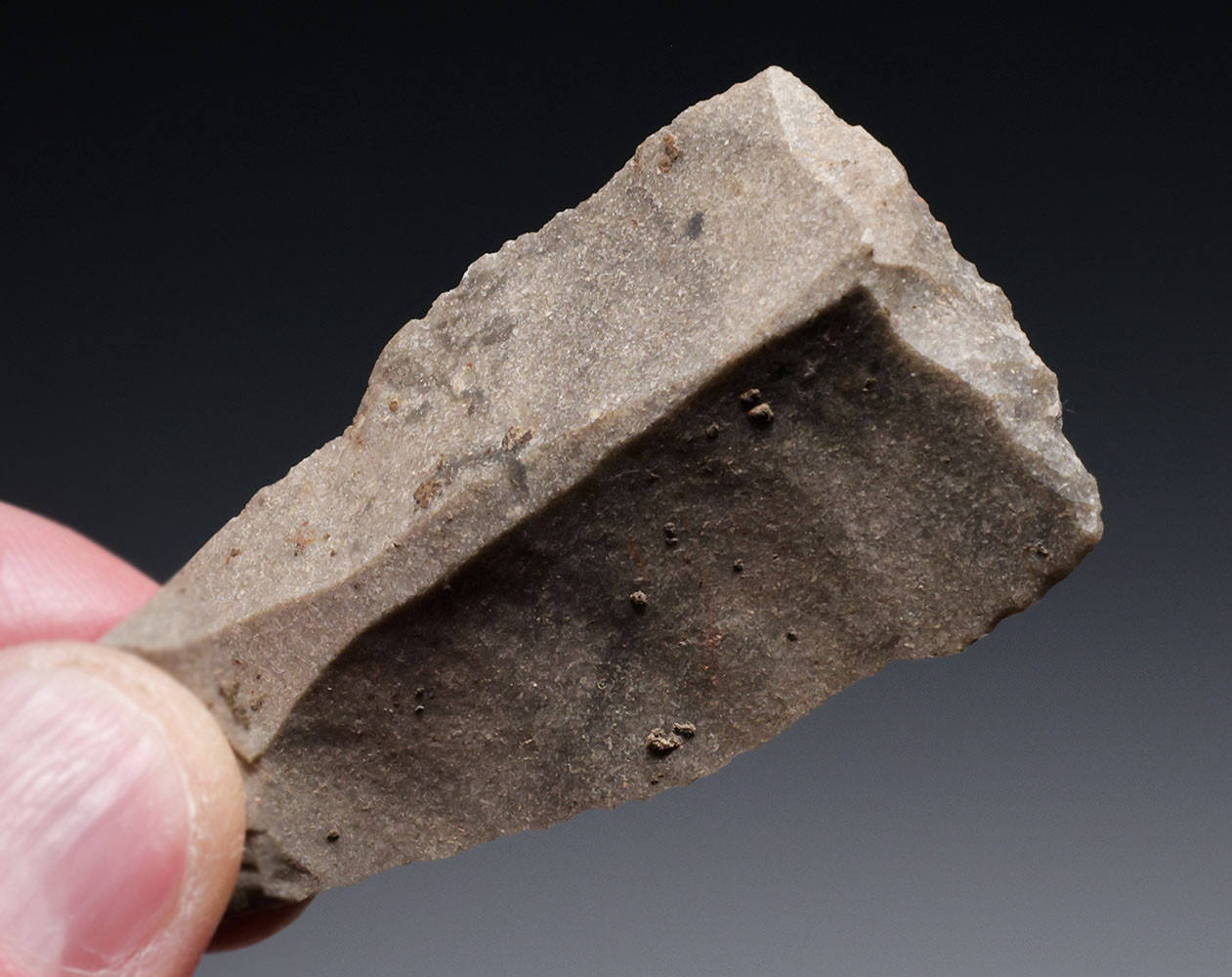 TWO EUROPEAN NEOLITHIC OMALIEN FLINT END SCRAPER BLADE TOOLS FROM THE LINEAR POTTERY CULTURE OF BELGIUM  *N354