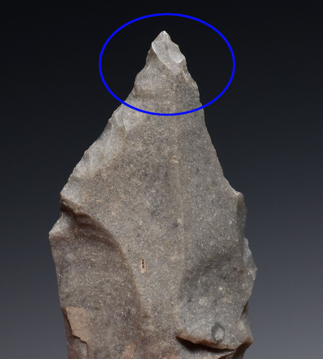 FINEST EUROPEAN NEOLITHIC OMALIEN FLINT AWL PIERCER FLAKE TOOL FROM THE LINEAR POTTERY CULTURE OF BELGIUM  *N353