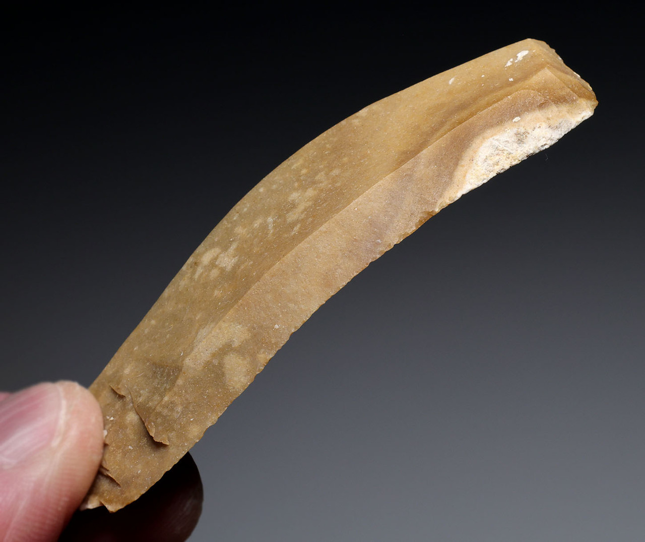 SUPREME BALKAN EARLY NEOLITHIC CORE-STRUCK GOLDEN FLINT BLADE FLAKE TOOL FROM THE FIRST BALKAN FARMERS  *N356