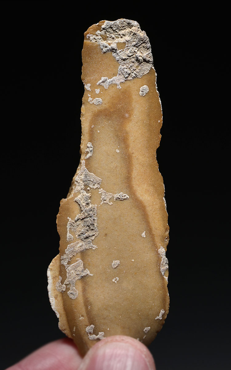 AESTHETIC LARGE BALKAN EARLY NEOLITHIC GOLD FLINT BLADE FLAKE TOOL FROM THE FIRST FARMING SOCIETY  *N359