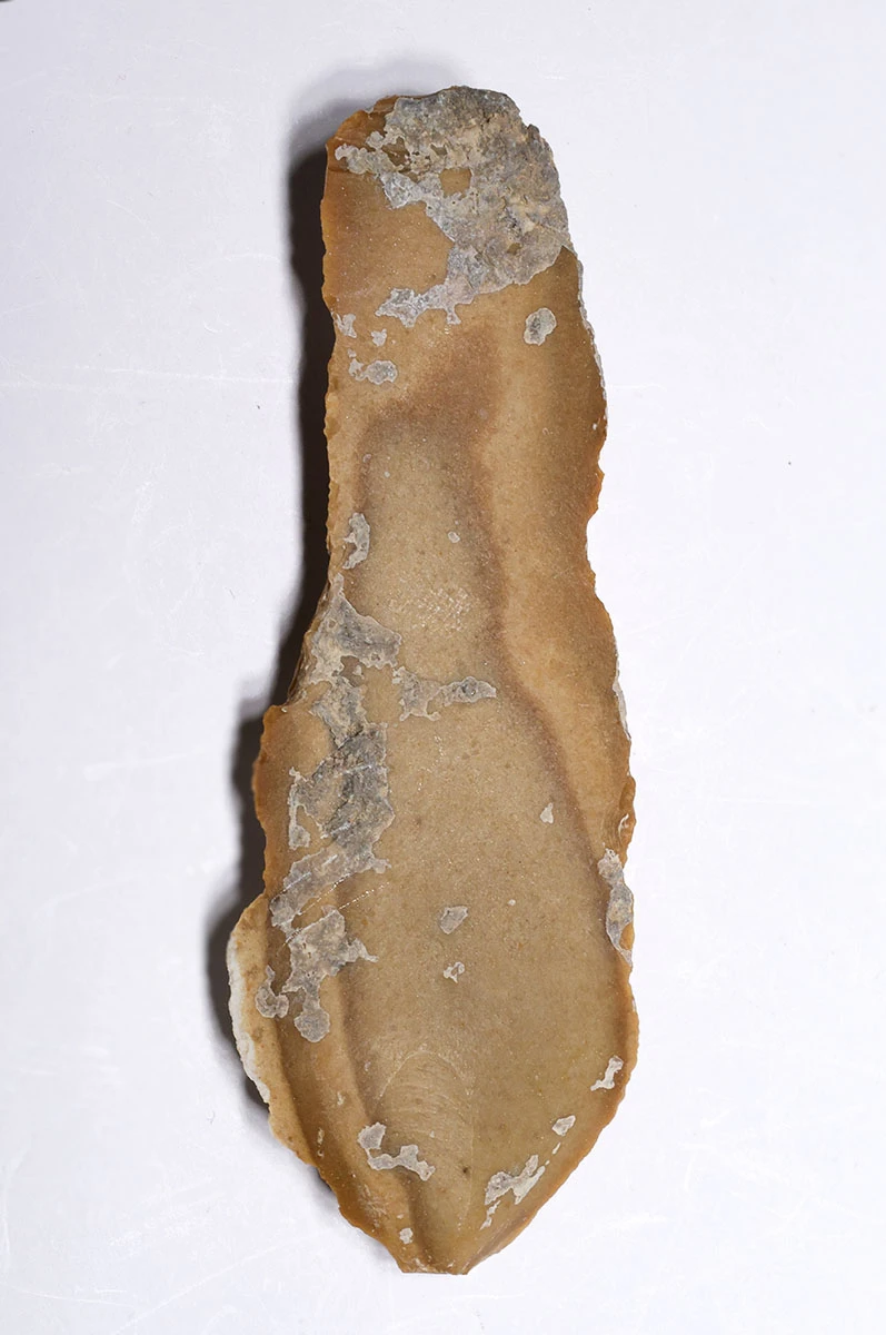 AESTHETIC LARGE BALKAN EARLY NEOLITHIC GOLD FLINT BLADE FLAKE TOOL FROM THE FIRST FARMING SOCIETY  *N359