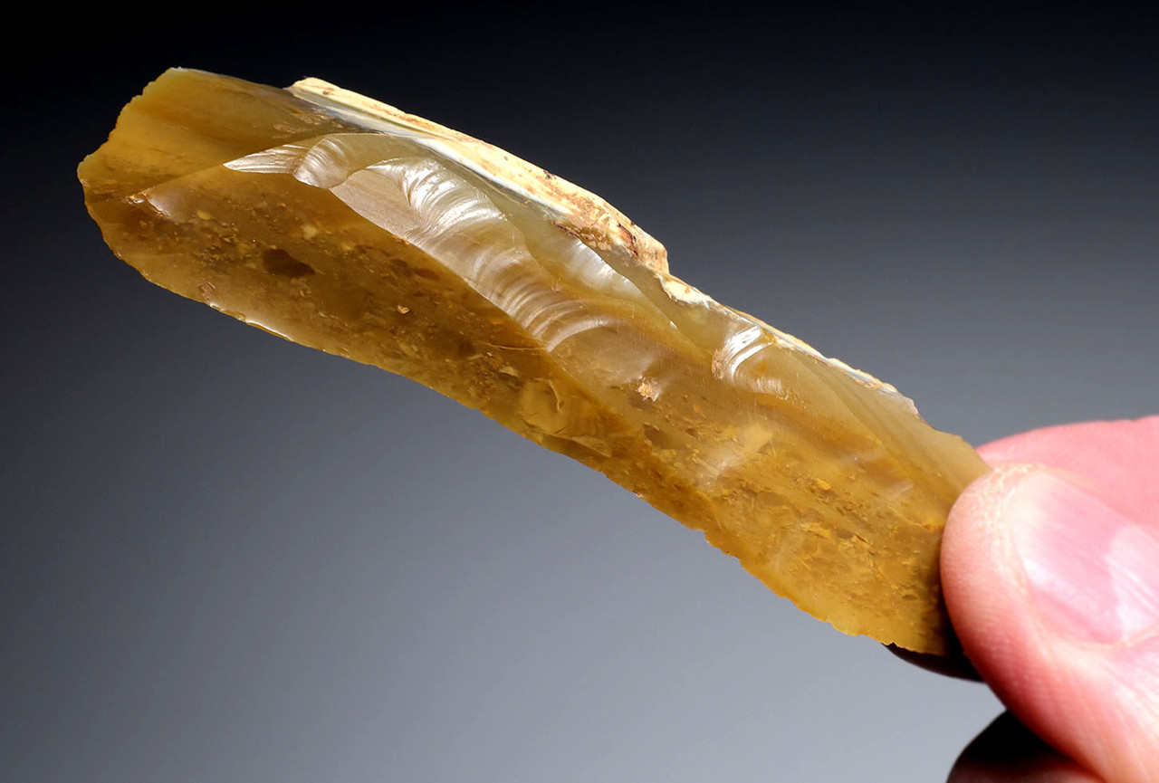 EXCEPTIONAL NEANDERTHAL MOUSTERIAN FLINT NATURALLY BACKED KNIFE FLAKE TOOL FROM FAMOUS MIDDLE PALEOLITHIC SITE IN FRANCE  *M537