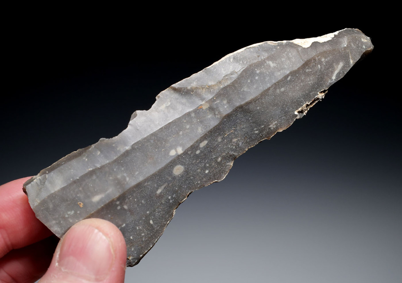 FIVE EARLY NEOLITHIC OMALIEN BELGIAN FLINT BLADE TOOL CORES FROM THE LINEAR POTTERY CULTURE  *N363