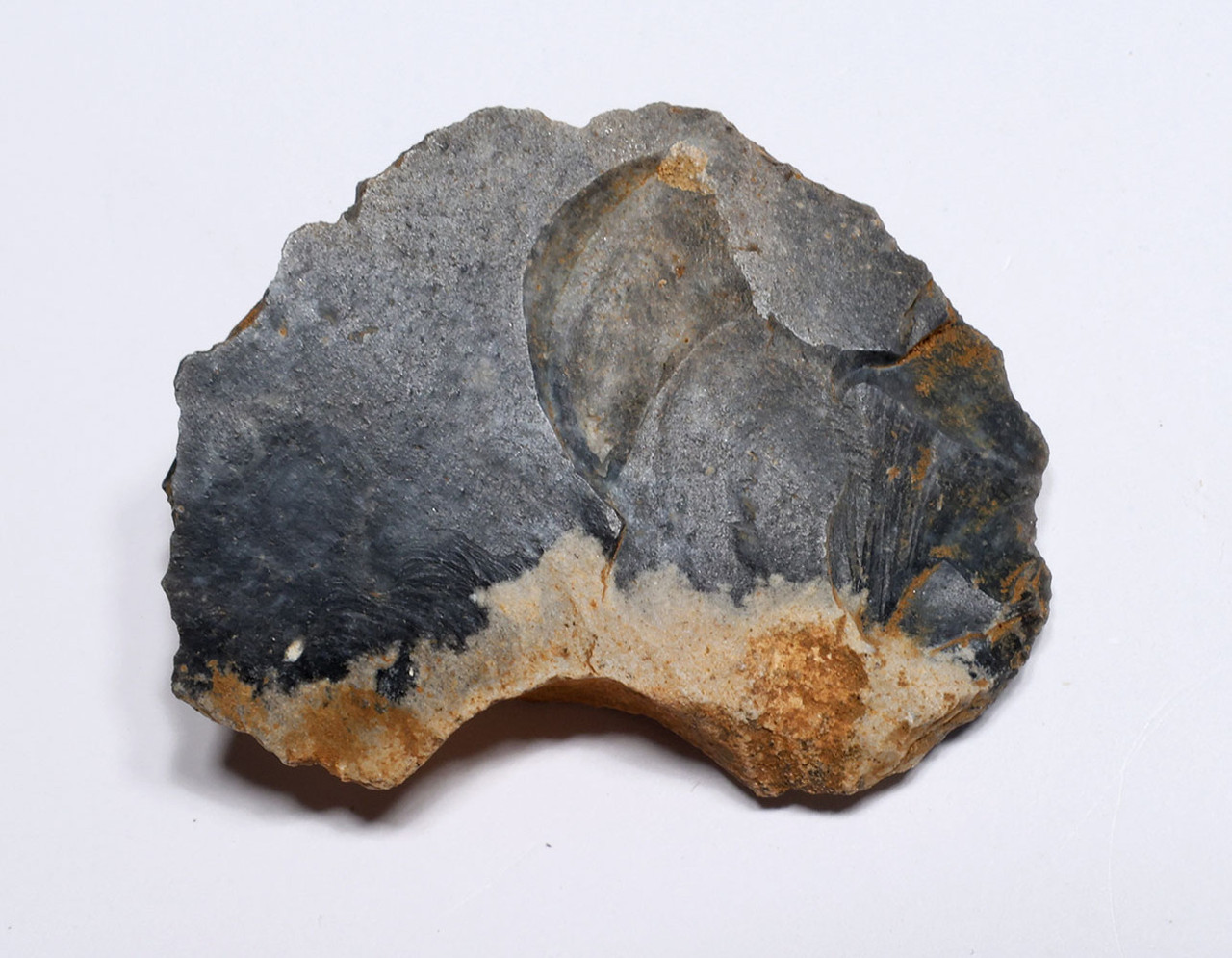 NEANDERTHAL MOUSTERIAN FLINT RABOT PLANER FLAKE TOOL FROM FAMOUS MIDDLE PALEOLITHIC SITE IN FRANCE  *M545