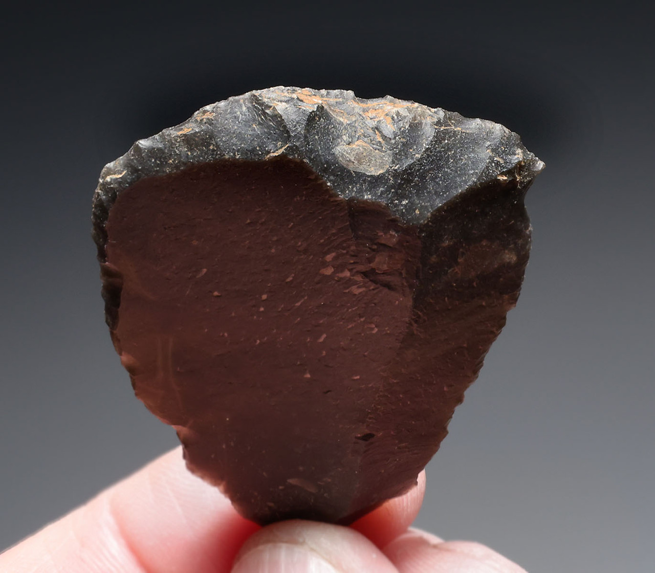 NEANDERTHAL MOUSTERIAN FLINT DIVERGENT SCRAPER FLAKE TOOL FROM FAMOUS MIDDLE PALEOLITHIC SITE IN FRANCE  *M544