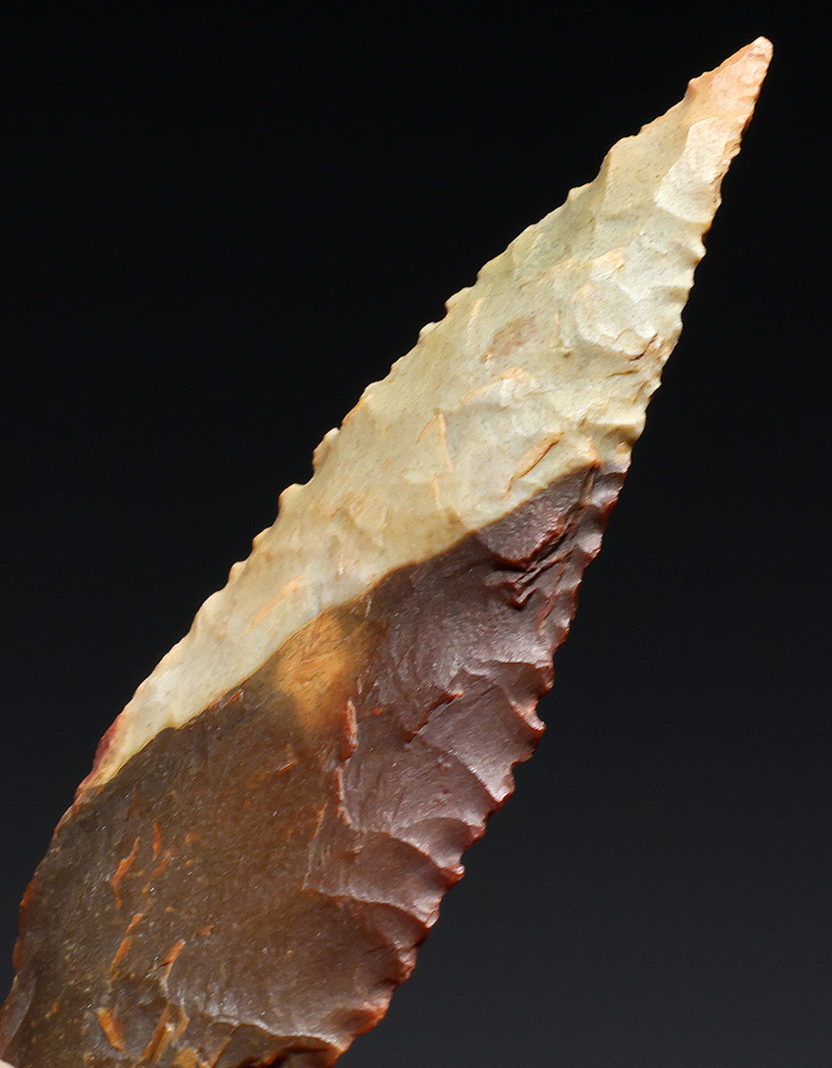 FINEST INVESTMENT GRADE CAPSIAN AFRICAN NEOLITHIC SERRATED ARROWHEAD WITH UNIQUE COLORS  *CAP482