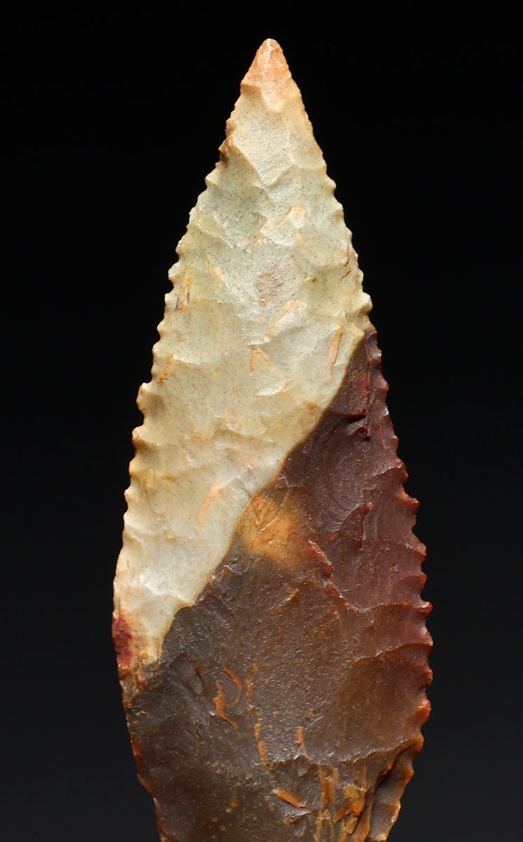 FINEST INVESTMENT GRADE CAPSIAN AFRICAN NEOLITHIC SERRATED ARROWHEAD WITH UNIQUE COLORS  *CAP482