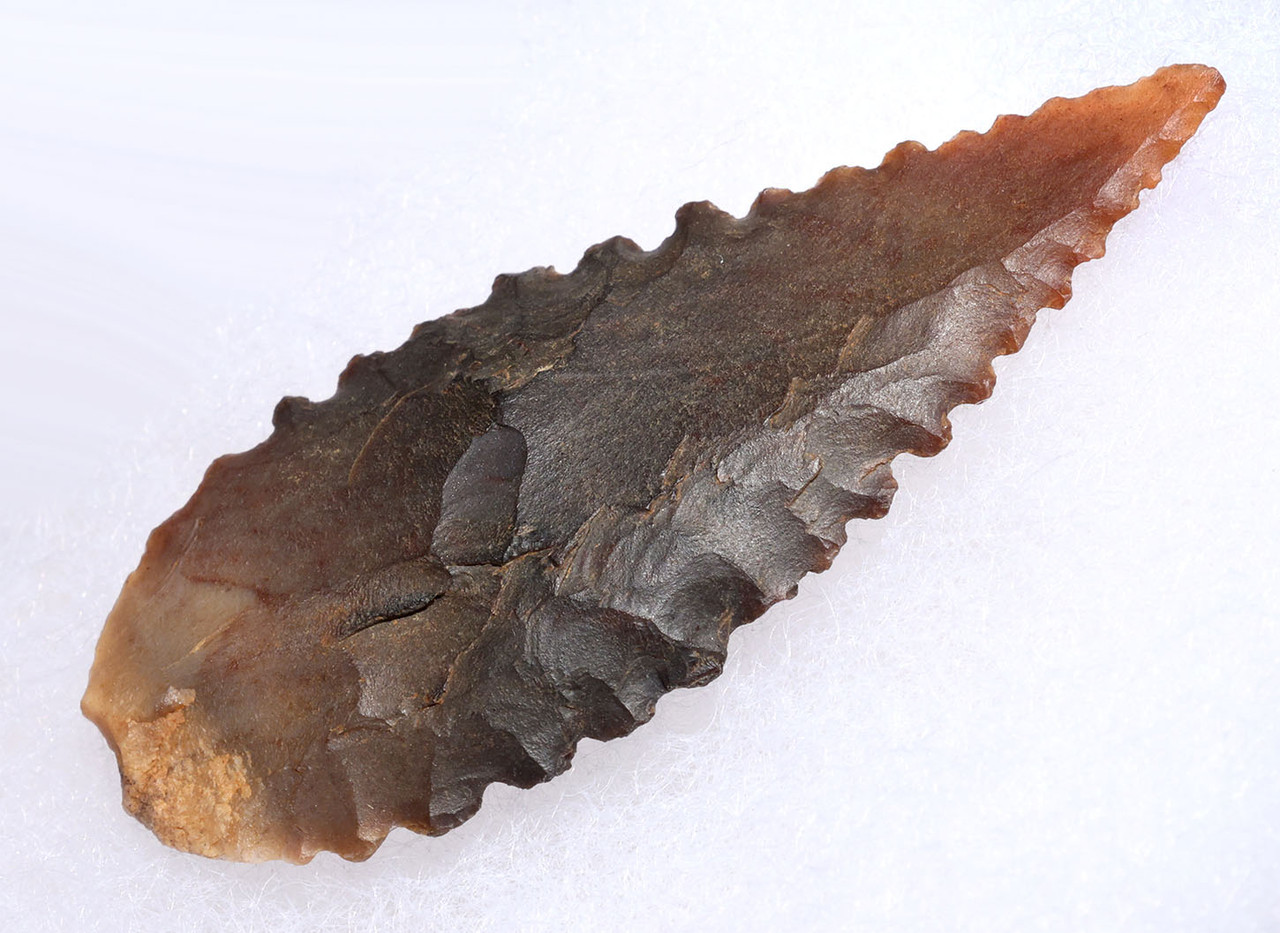 FINEST INVESTMENT GRADE CAPSIAN AFRICAN NEOLITHIC SERRATED ARROWHEAD WITH UNIQUE COLORS  *CAP483
