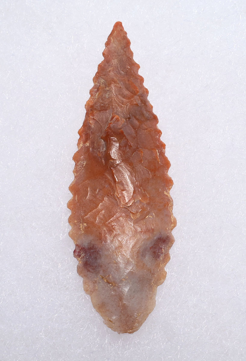 FINEST INVESTMENT GRADE CAPSIAN AFRICAN NEOLITHIC SERRATED ARROWHEAD WITH UNIQUE COLORS  *CAP481