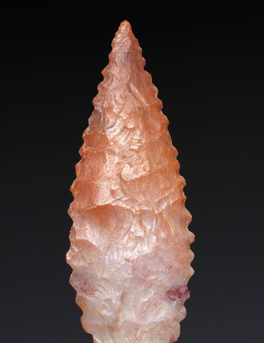 FINEST INVESTMENT GRADE CAPSIAN AFRICAN NEOLITHIC SERRATED ARROWHEAD WITH UNIQUE COLORS  *CAP481