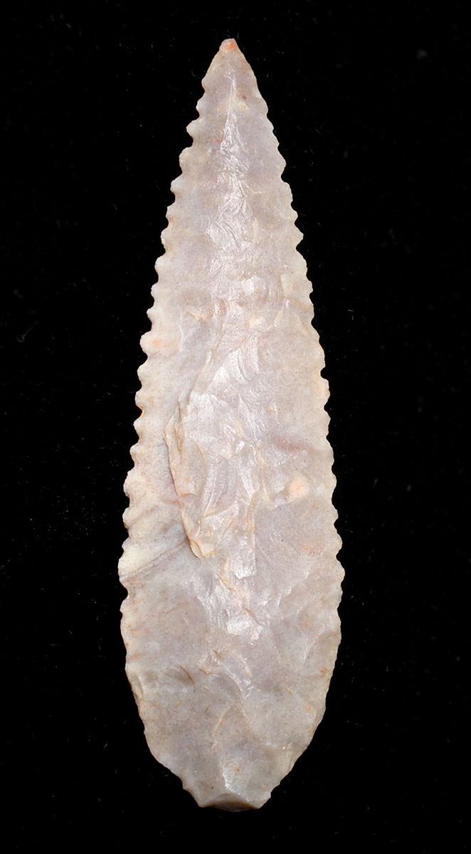 FINEST WHITE INVESTMENT GRADE CAPSIAN AFRICAN NEOLITHIC SERRATED ARROWHEAD  *CAP480