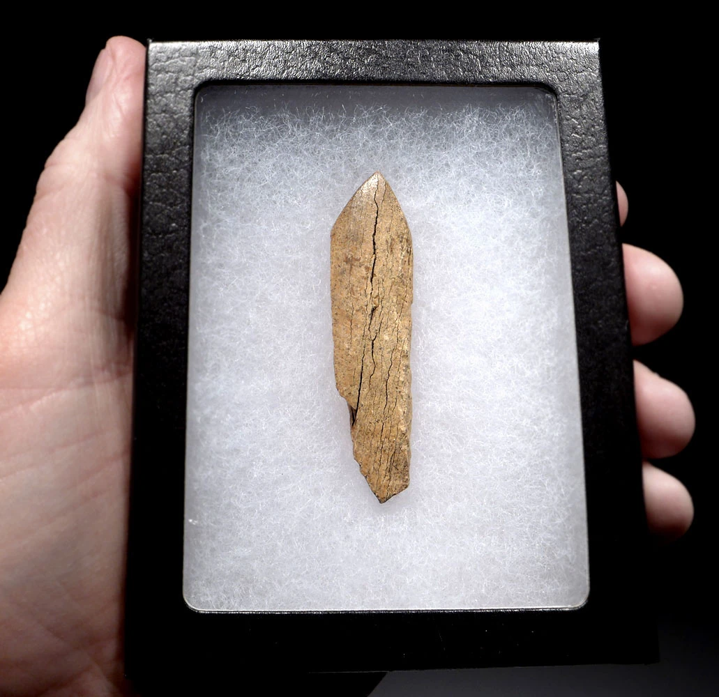 RARE RUSSIAN NEOLITHIC VOLOSOVO CULTURE BONE BURNISHER TOOL FROM VOLGA REGION OF RUSSIA    *N274