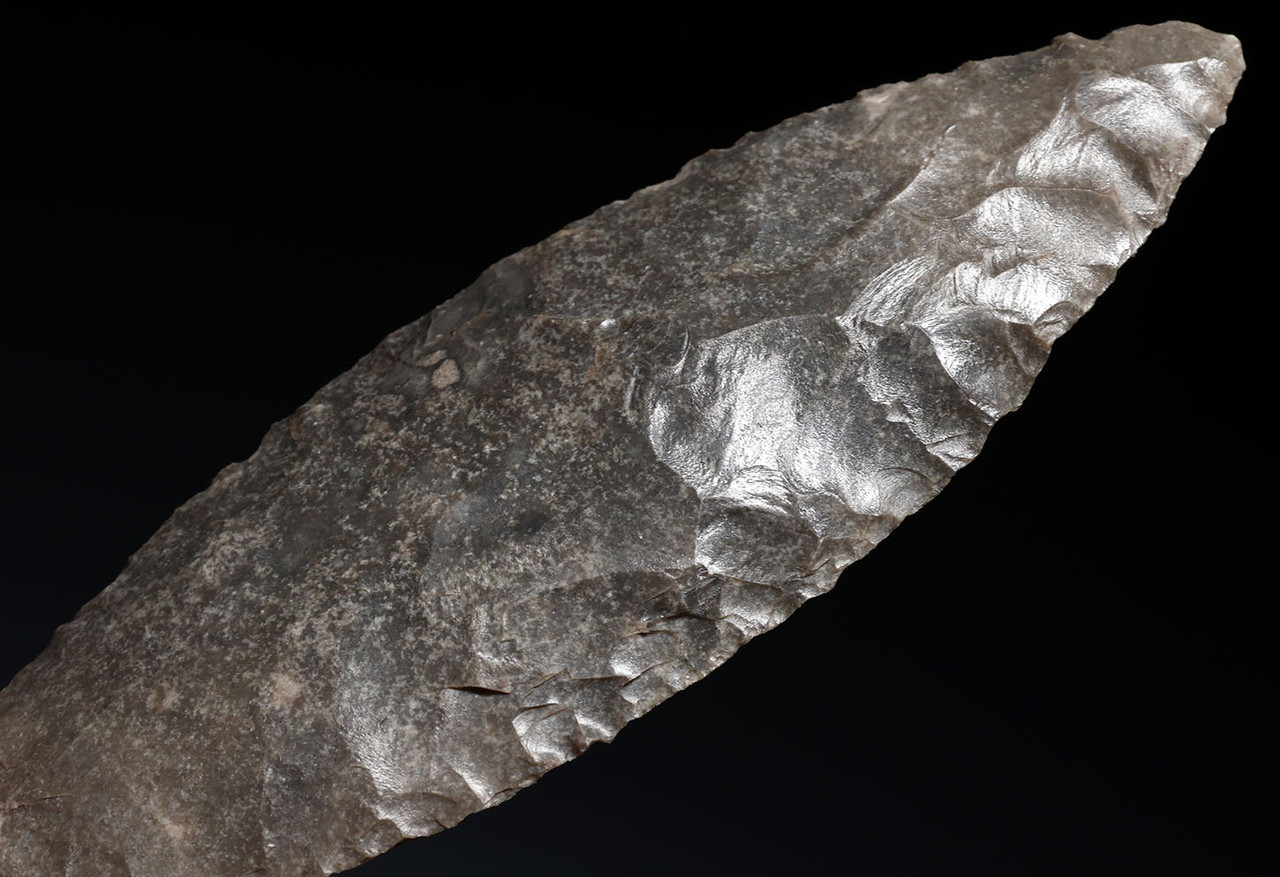 UNUSUALLY LARGE MAYAN BIFACIAL ATLATL SPEARHEAD POINT IN GRAY CHERT  *PC676