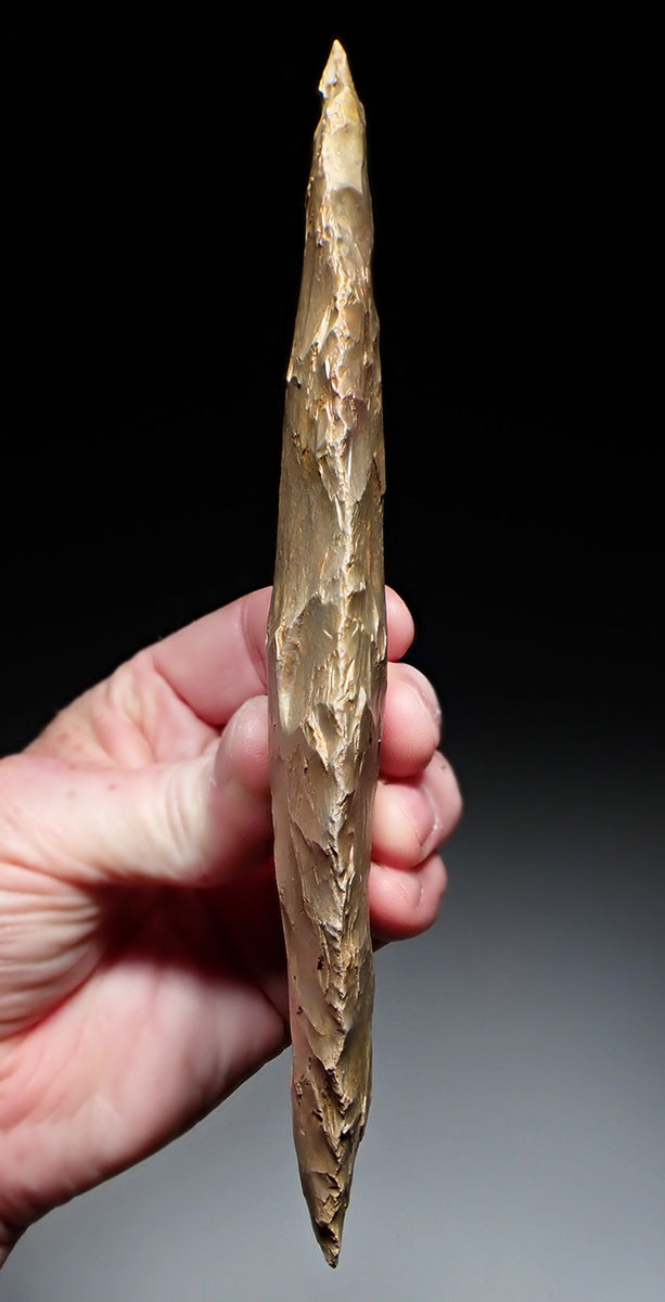 LARGEST OF OUR 25 YEAR COLLECTION - OVER 5000 YEAR OLD RARE PRESTIGE CAPSIAN NEOLITHIC BIFACIAL FLINT LEAF BLADE KNIFE FROM THE SAHARA  *CAP456