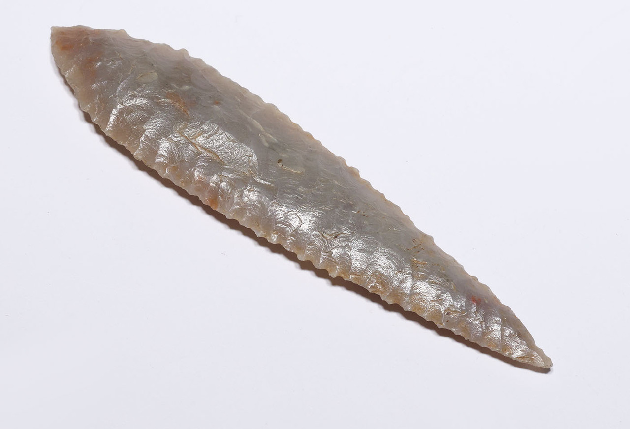LARGE FINEST INVESTMENT GRADE CAPSIAN AFRICAN NEOLITHIC SERRATED ARROWHEAD IN WARM PEARL FLINT  *CAP485