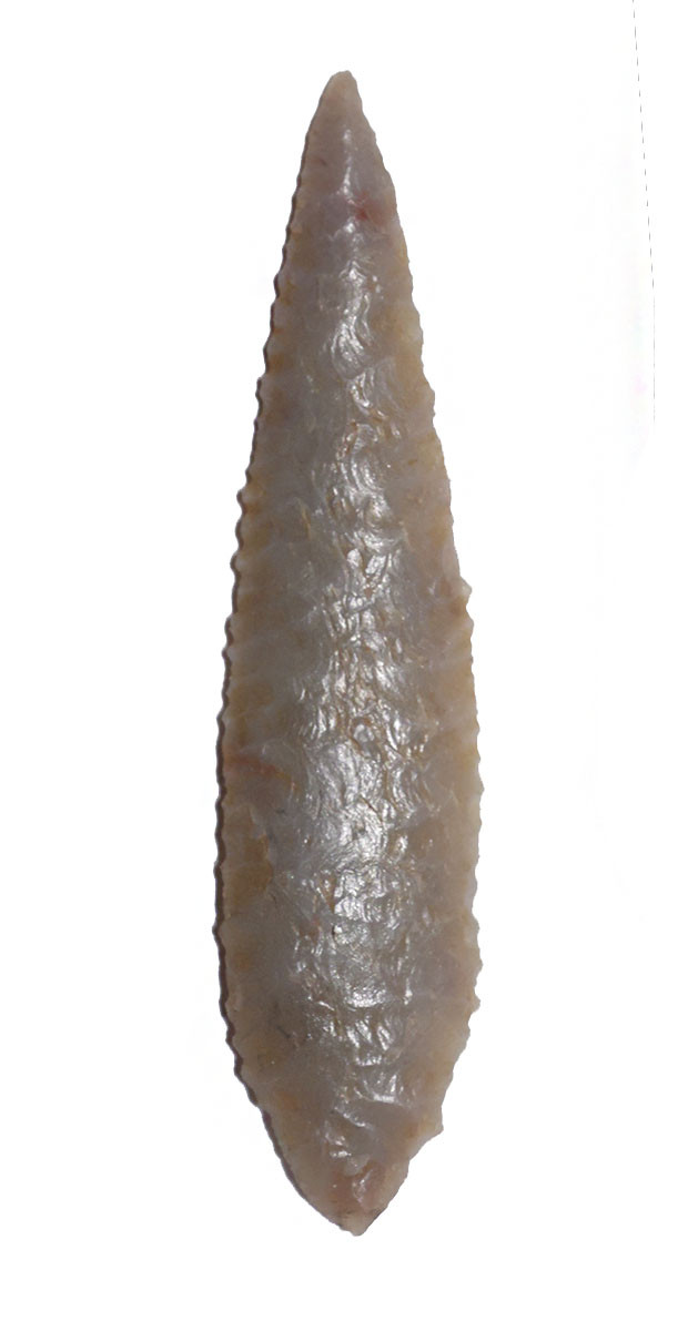LARGE FINEST INVESTMENT GRADE CAPSIAN AFRICAN NEOLITHIC SERRATED ARROWHEAD IN WARM PEARL FLINT  *CAP485
