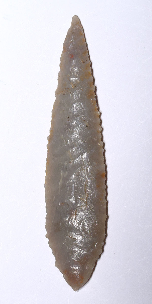 LARGE FINEST INVESTMENT GRADE CAPSIAN AFRICAN NEOLITHIC SERRATED ARROWHEAD IN WARM PEARL FLINT  *CAP485