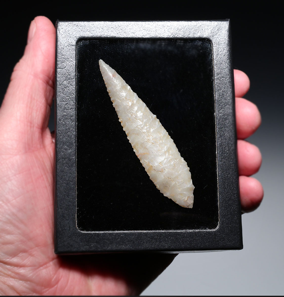 LARGE FINEST INVESTMENT GRADE CAPSIAN AFRICAN NEOLITHIC SERRATED ARROWHEAD IN WARM PEARL FLINT  *CAP485
