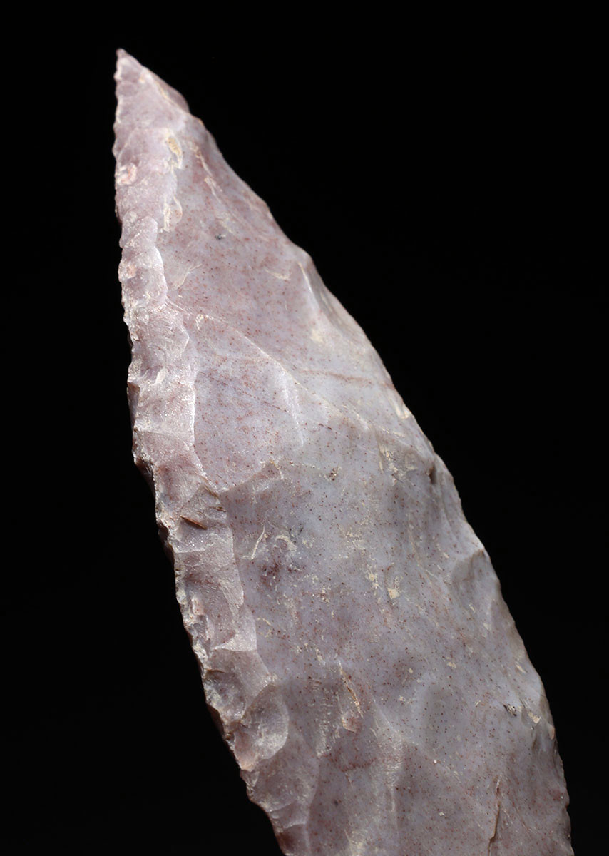 LARGE PLUM COLORED FINEST INVESTMENT GRADE CAPSIAN AFRICAN NEOLITHIC ARROWHEAD  *CAP489