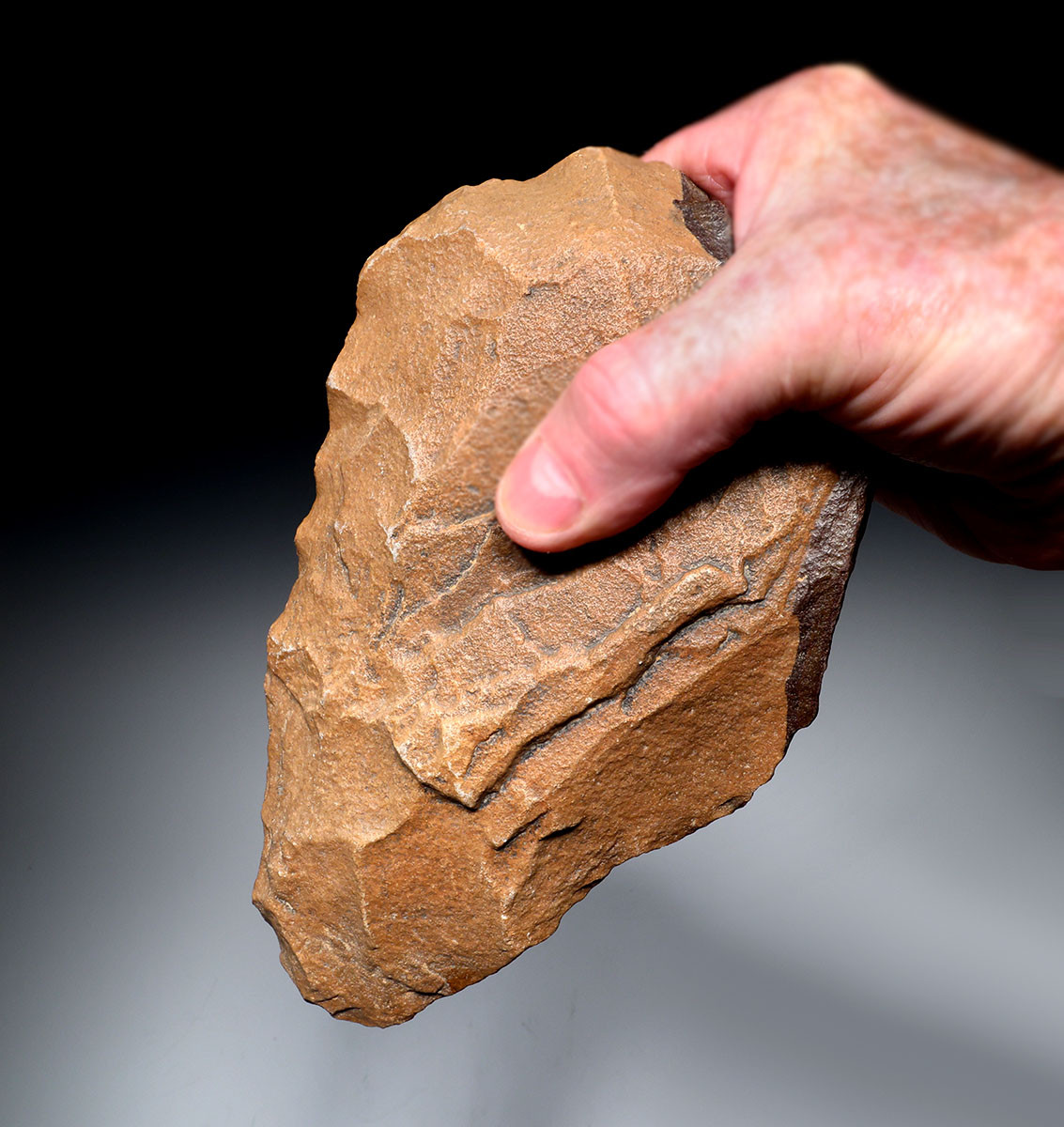  INVESTMENT-CLASS BI-COLORED ACHEULEAN HAND AXE MADE BY HOMO ERGASTER OF STONE AGE AFRICA  *ACH492