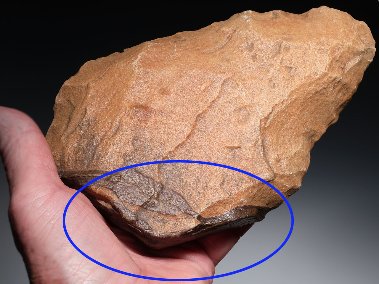  INVESTMENT-CLASS BI-COLORED ACHEULEAN HAND AXE MADE BY HOMO ERGASTER OF STONE AGE AFRICA  *ACH492