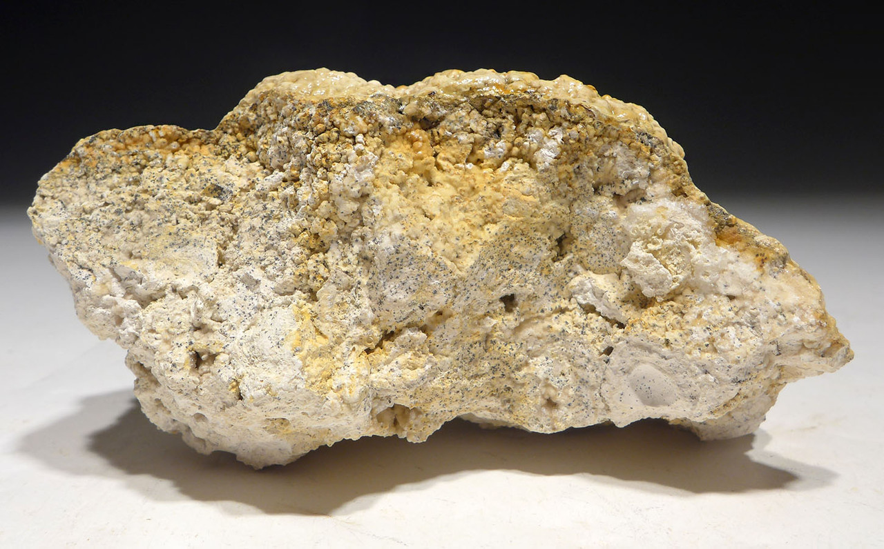 OLIGOCENE FOSSIL STROMATOLITE CYANOBACTERIA BALL COLONIES FROM AN ANCIENT LAKE  *STR584