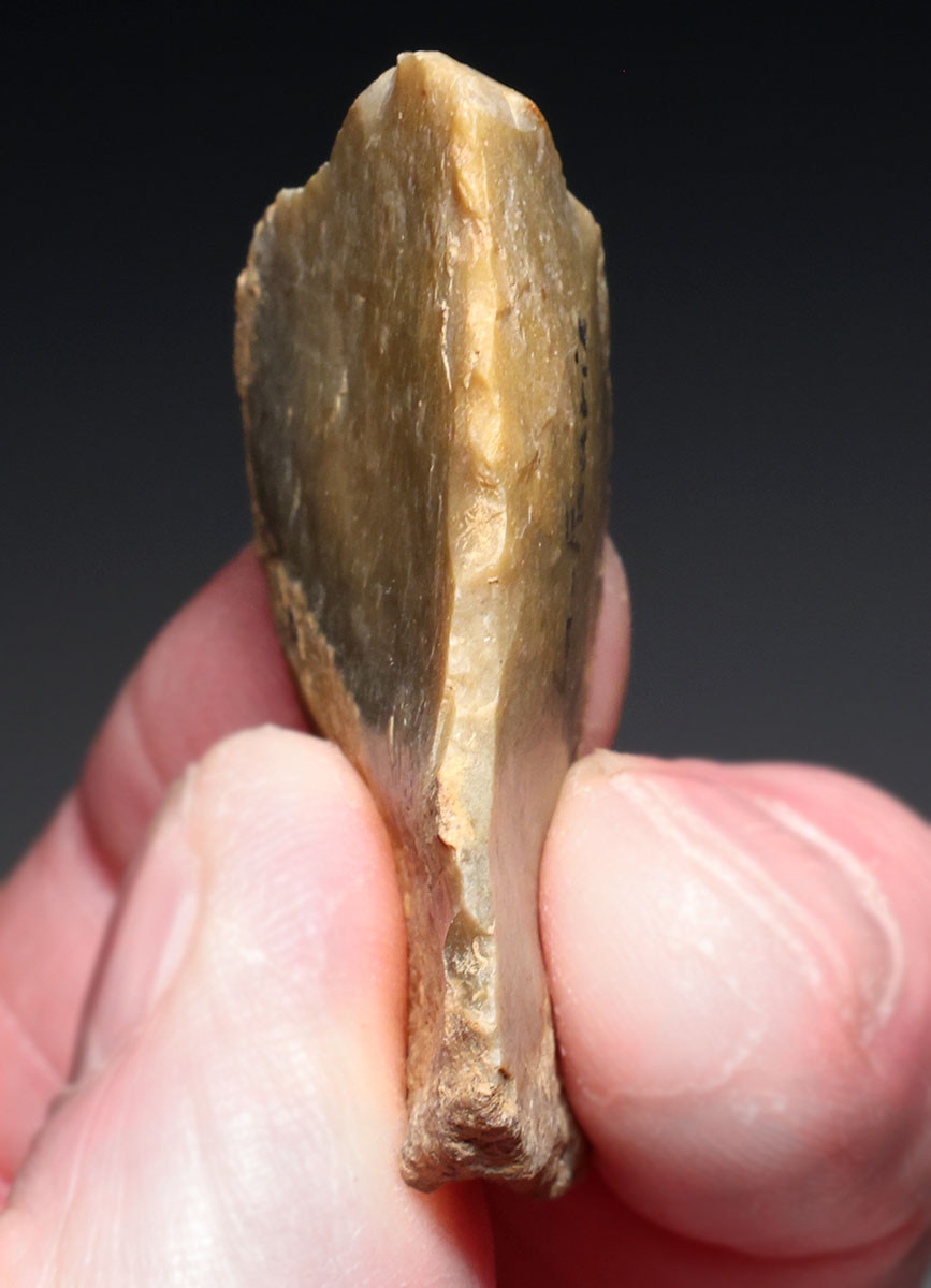 PREMIUM NEANDERTHAL MOUSTERIAN NATURALLY BACKED KNIFE FLINT FLAKE TOOL FROM THE FRENCH ALPS OF LA FAURIE FRANCE  *M549