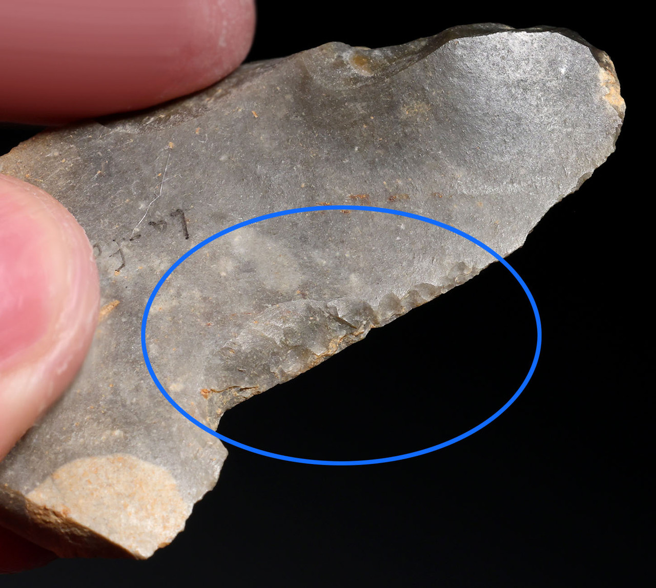 NEANDERTHAL MOUSTERIAN BLADE KNIFE FLINT FLAKE TOOL FROM THE FRENCH ALPS OF LA FAURIE FRANCE  *M547
