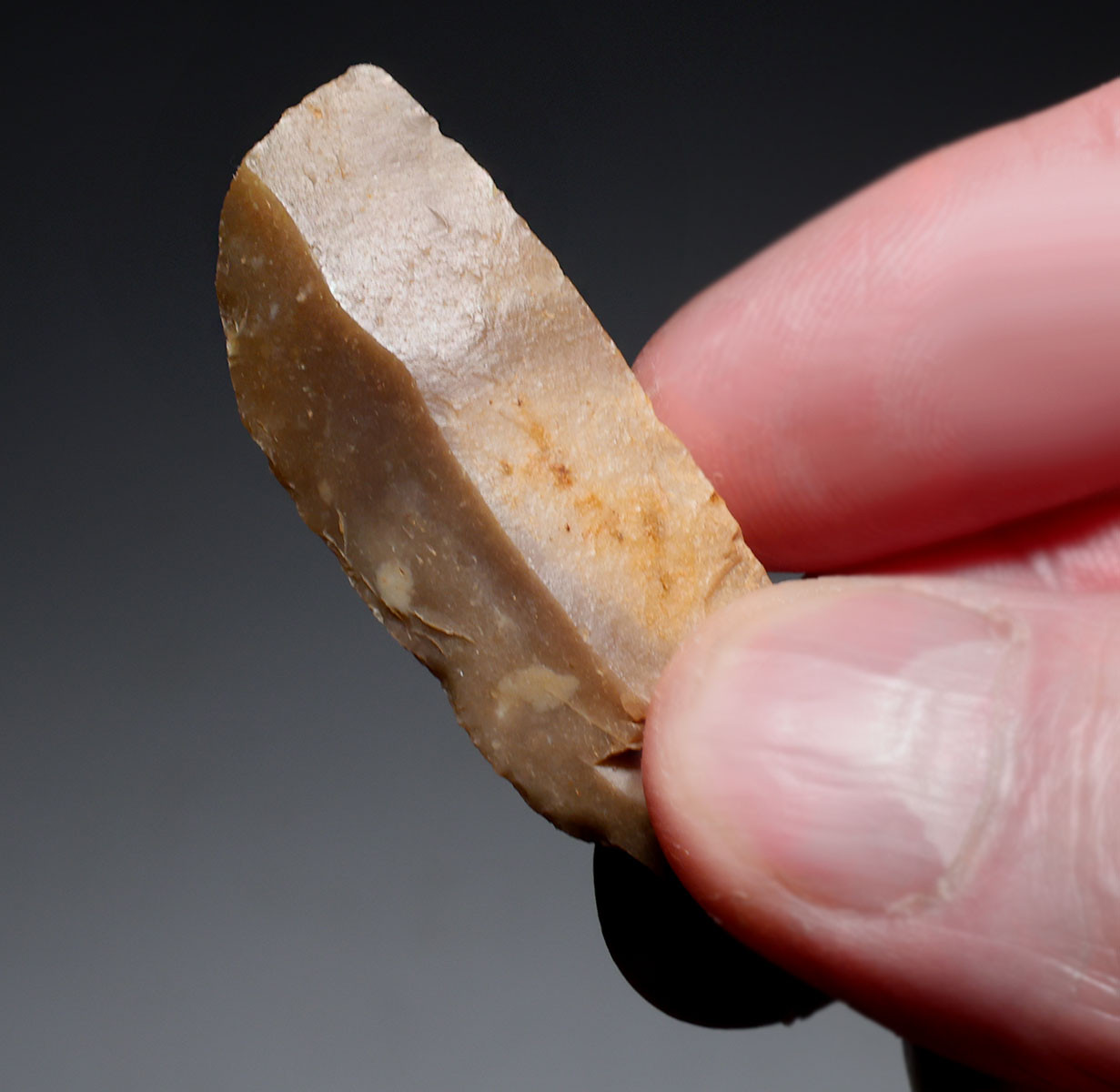 NEANDERTHAL MOUSTERIAN BACKED KNIFE FLINT FLAKE TOOL FROM THE FRENCH ALPS OF LA FAURIE FRANCE  *M553